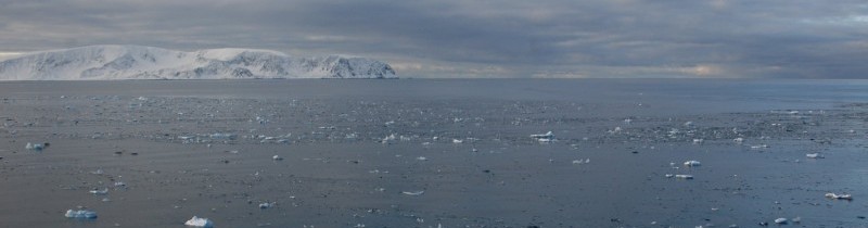 Ледовые условия в Хорнсунде (Шпицберген) в зимний сезон 2008-2009 гг. (Ice conditions in hornsund (spitsbergen) during winter season 2008-2009)