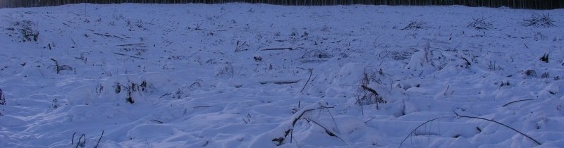 Краковские полярные метеорологические и климатологические исследования