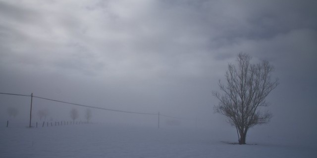 Циркуляционные условия, способствующие возникновению тумана и плохой видимости в Хорнсунде (Шпицберген)