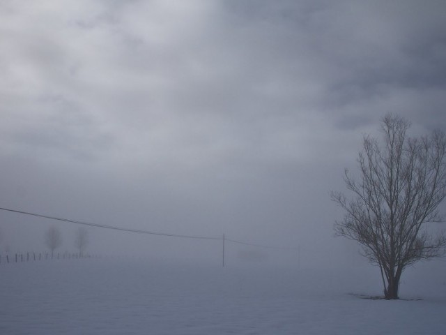 Циркуляционные условия, способствующие возникновению тумана и плохой видимости в Хорнсунде (Шпицберген)