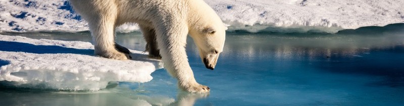 Изменения морского ледяного покрова в Арктике на рубеже 20 и 21 веков и их корреляция с атмосферной циркуляцией