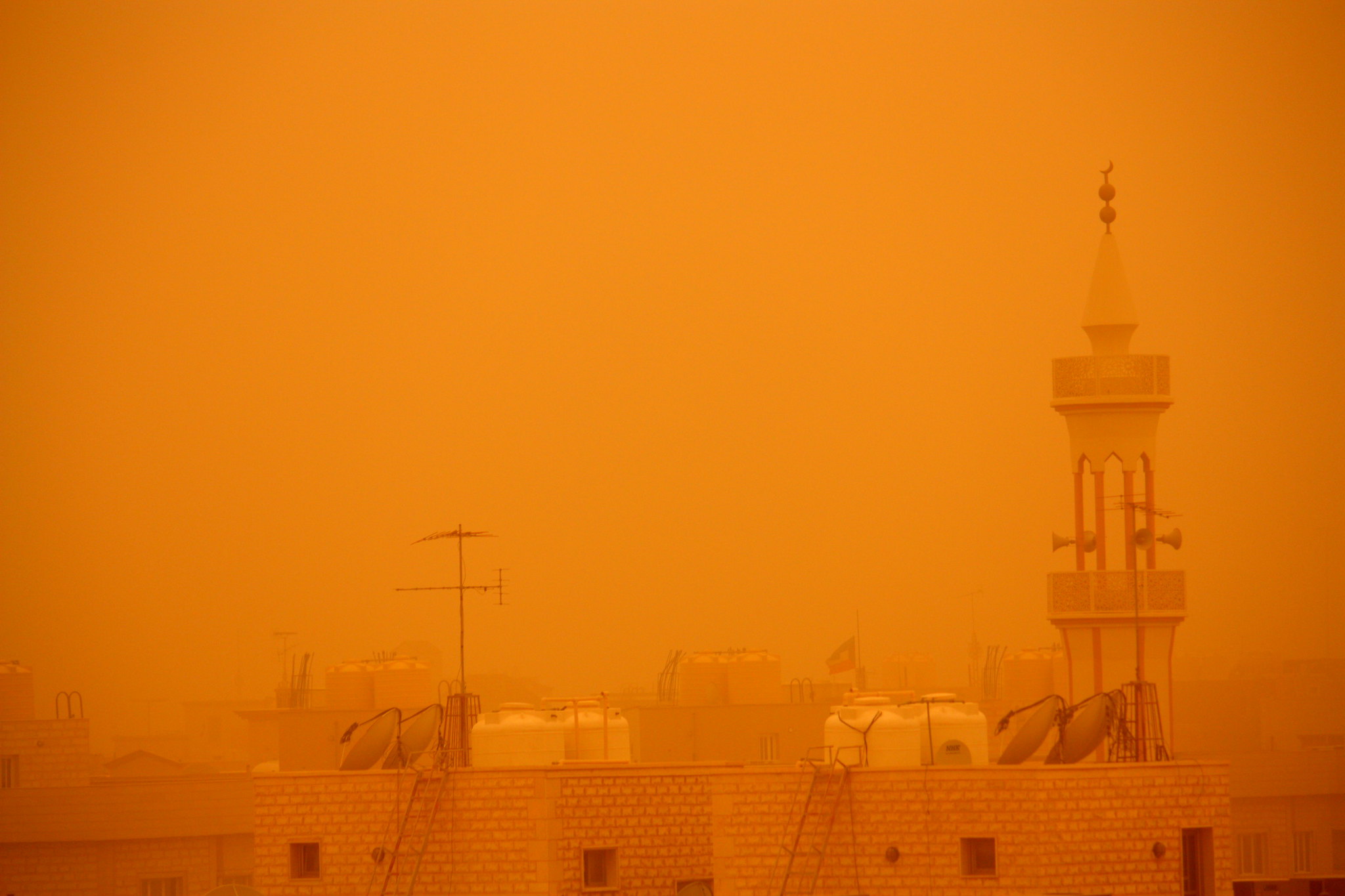 Terraria песчаная буря фото 63