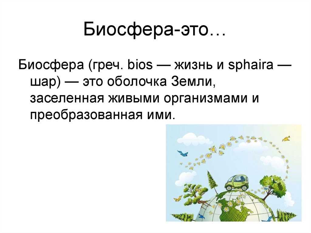 Виды биотопов