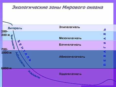  Изменение растительного покрова