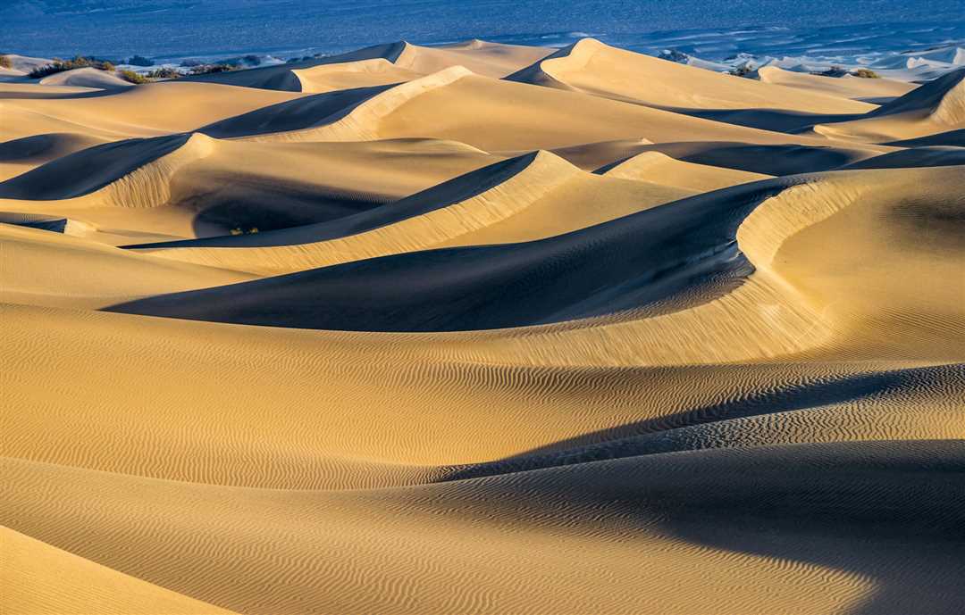 Мир песков: особенности и опасности