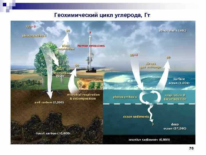 Естественные процессы обмена углеродом в атмосфере, океане и на суше