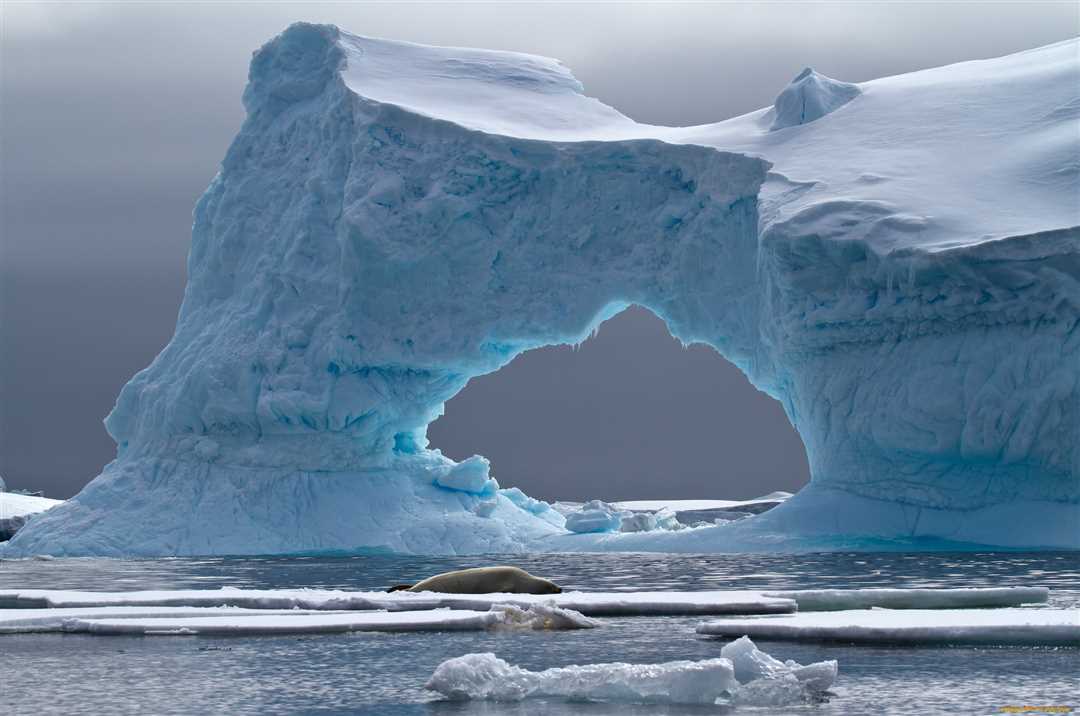 Северные ледники и их влияние на айсберги