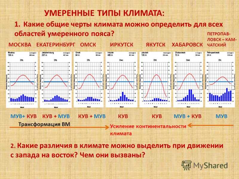 Метеорологические данные Кокаревки