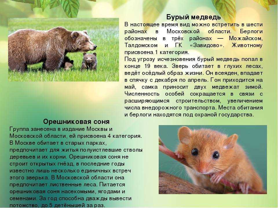 Список редких и исчезающих видов Москвы