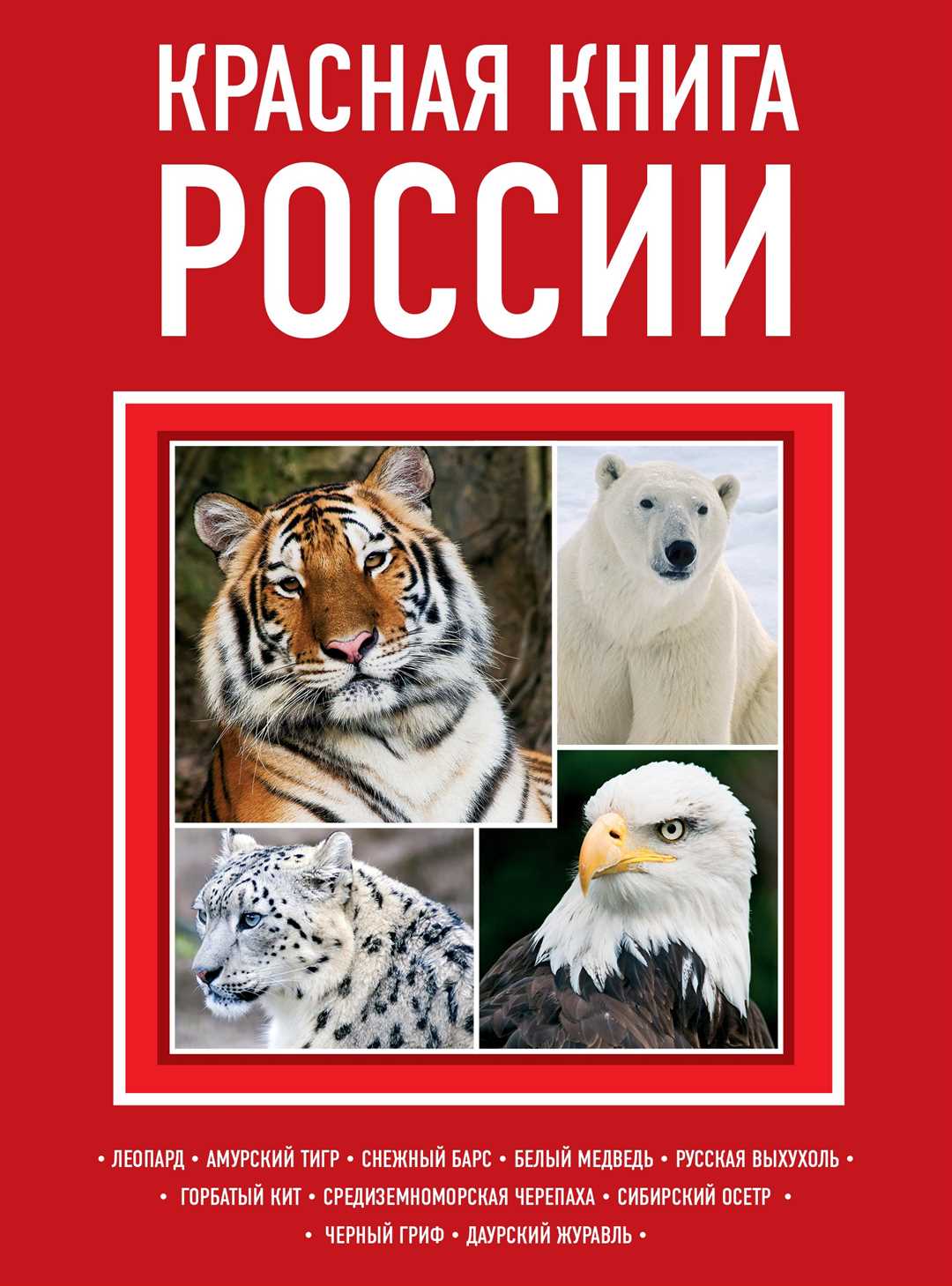 Охраняемая природа России