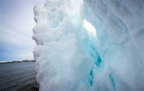 Предпосылки и причины возникновения Ледниковой эпохи