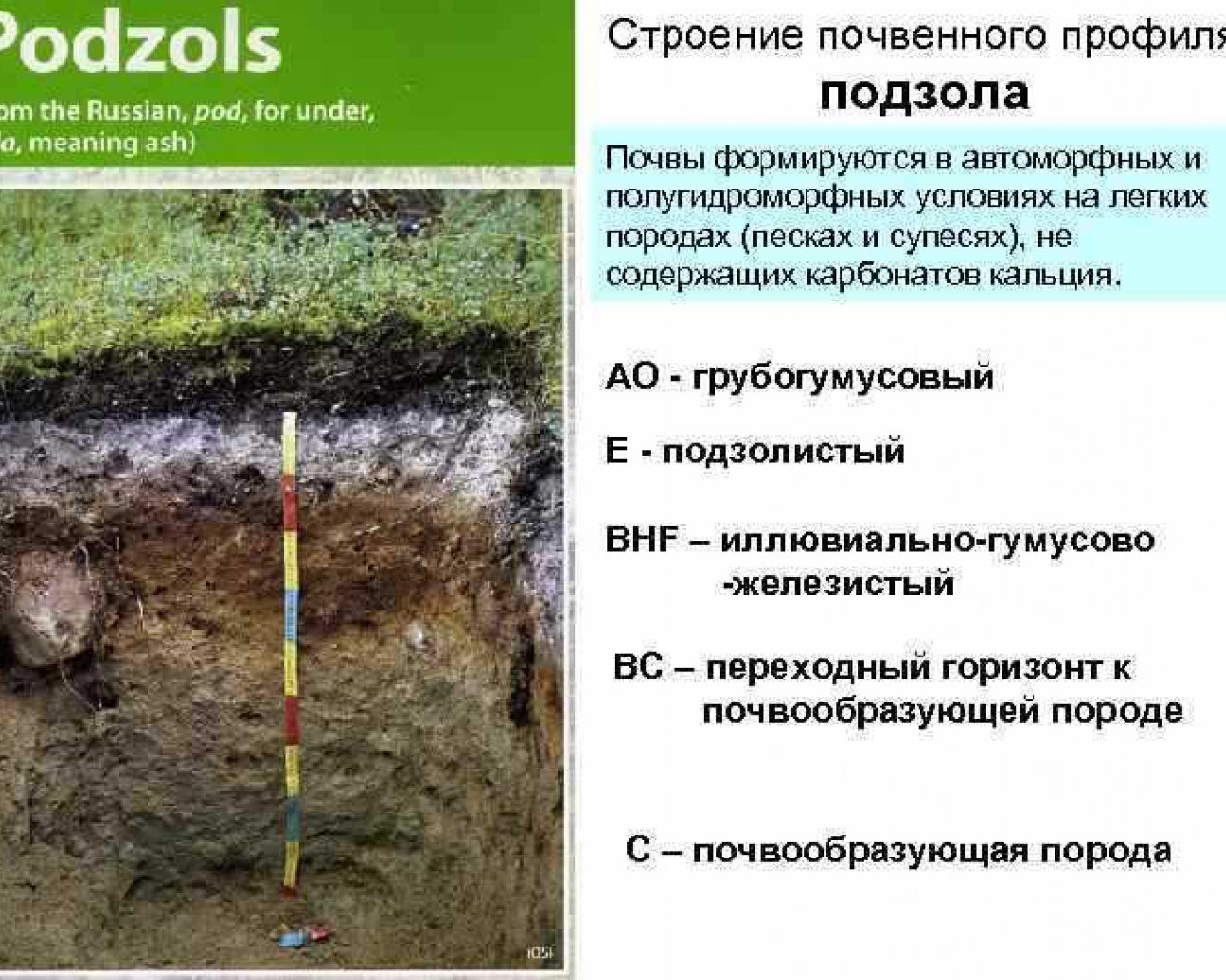 Бореальный период: особенности климатических изменений и их влияние на Планету