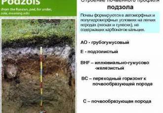 Бореальный период: особенности климатических изменений и их влияние на Планету