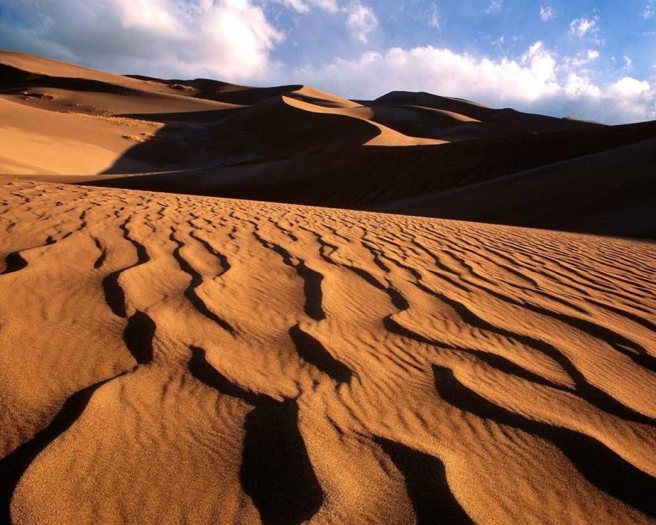 Песчаные дюны - загадочное миры высоких холмов, возникающих под влиянием природных сил и стихий
