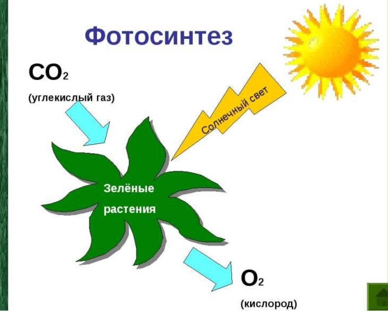 1 фотосинтез происходит в органах растения. Схема фотосинтеза у растений. Схема процесса фотосинтеза. Фотосинтез схема кратко. Фотосинтез растений схема 6 класс.