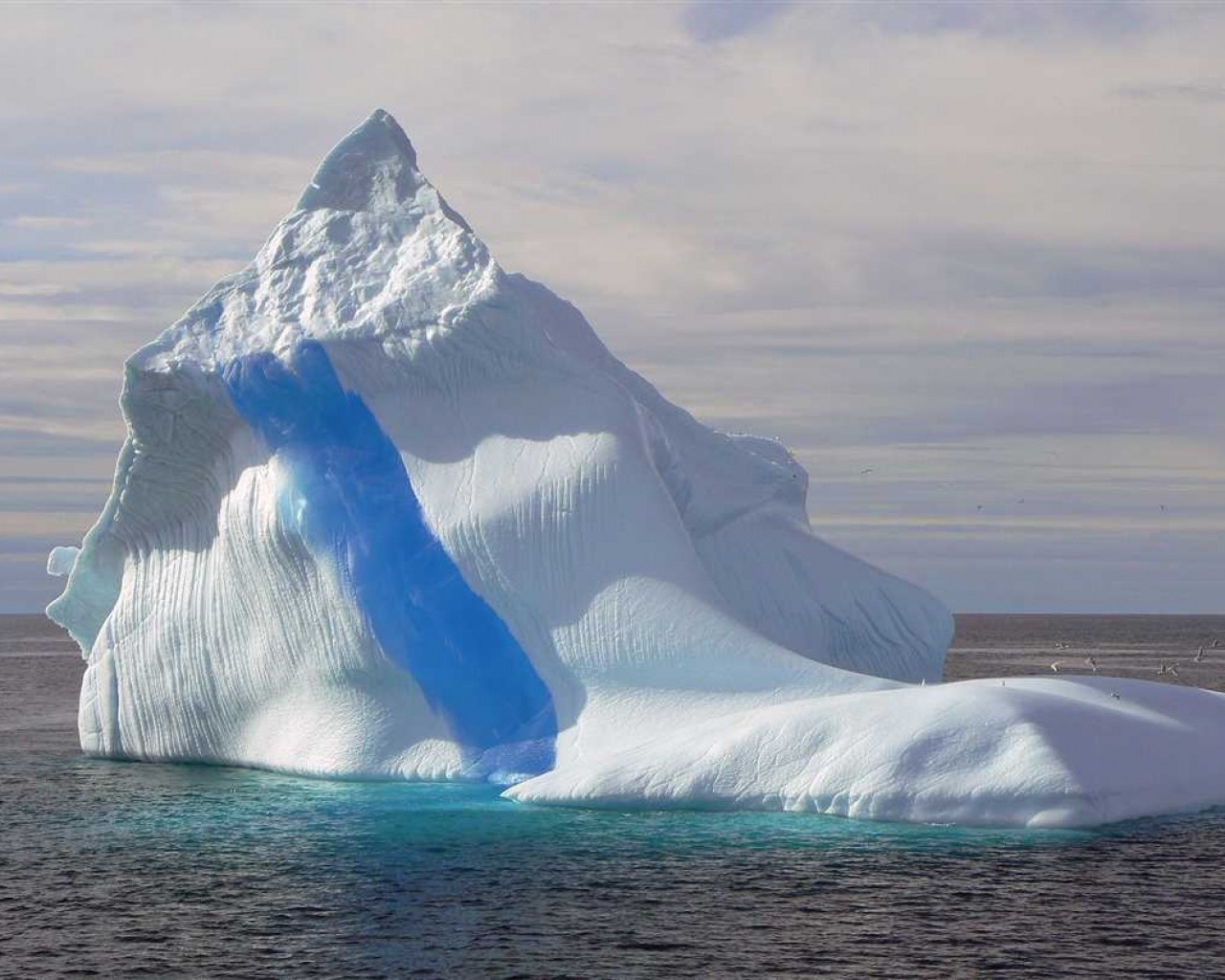 Какие ледники являются источниками айсбергов