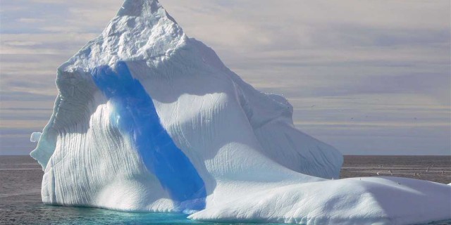Какие ледники являются источниками айсбергов