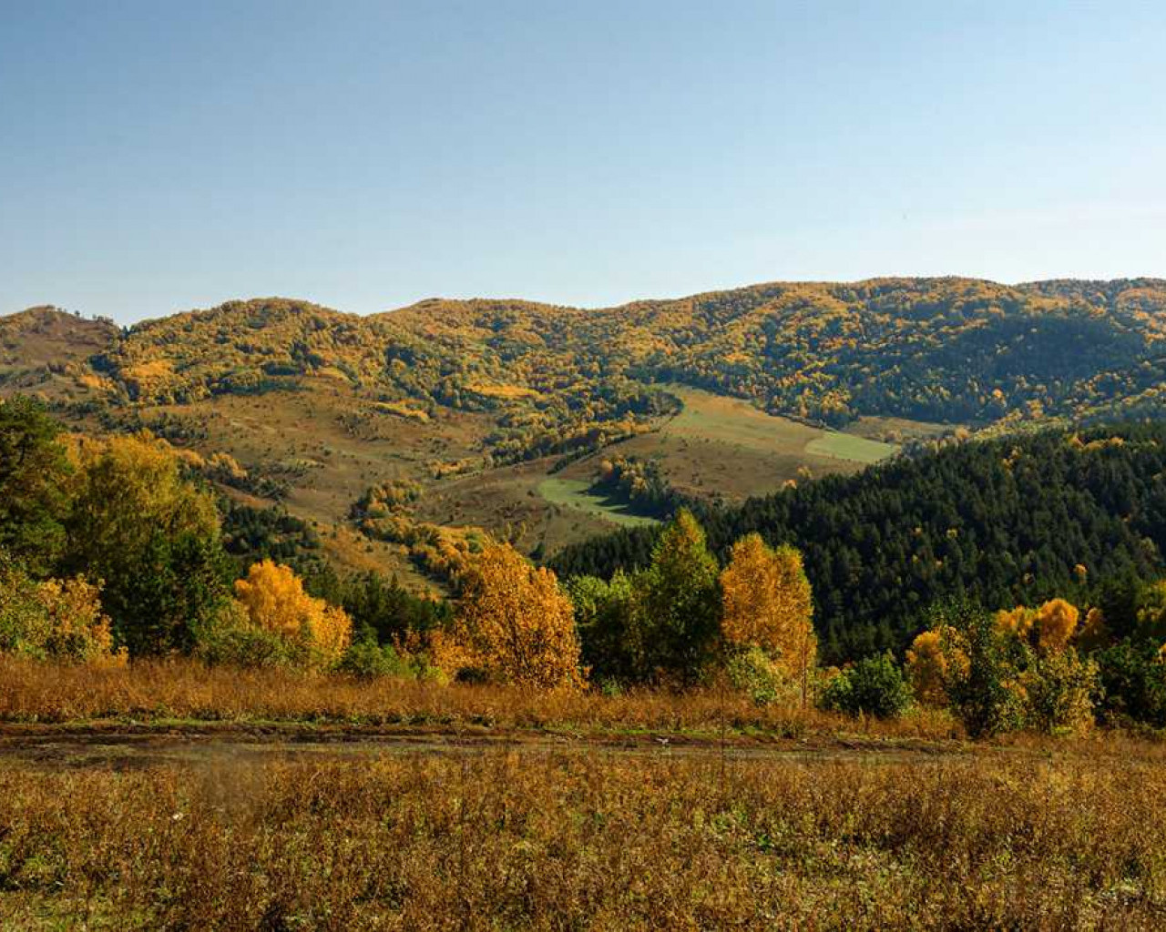 Климат города Белокурихи