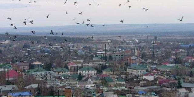 Климат города Давлеканова