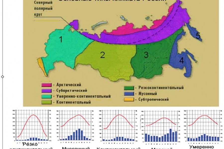 Карта осадков тайга