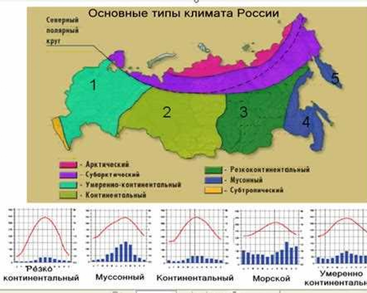 Климат города Кежмы