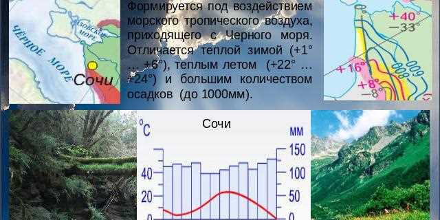 Климат города Новопокровки