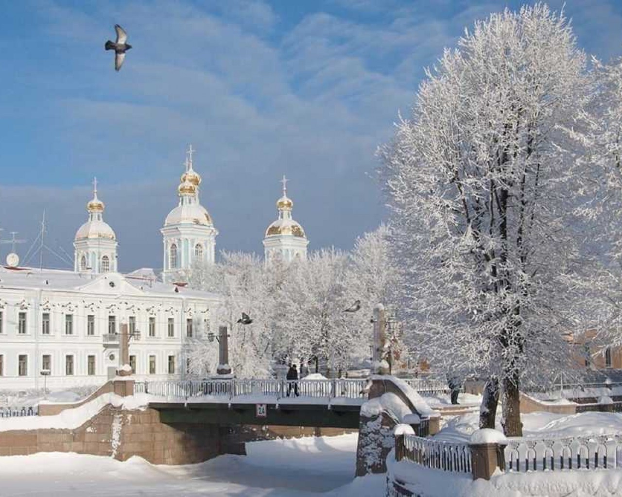 Климат города Санкт-Петербурга