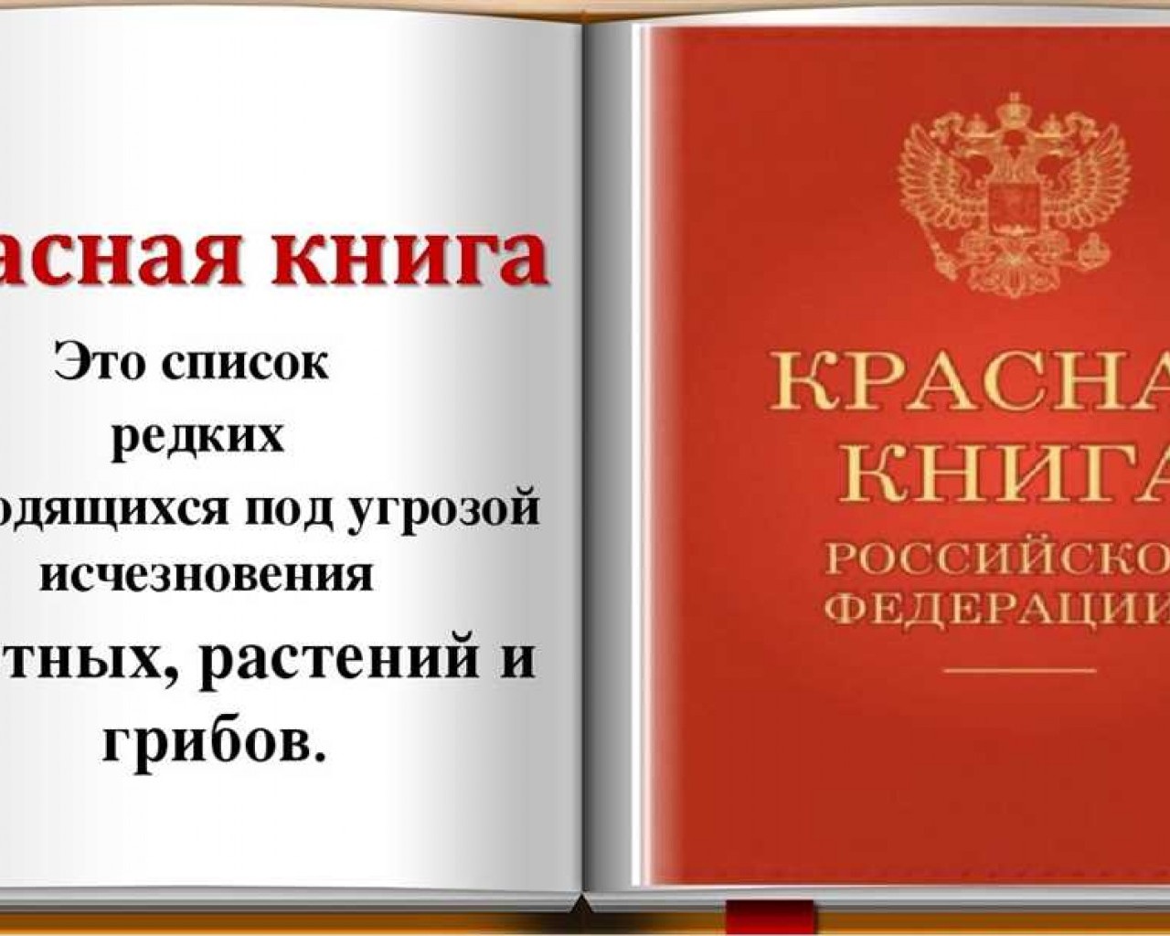 Как узнать о редких и исчезающих видов животных и растений по Красной книге России?