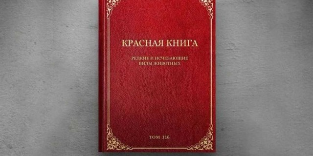 Красная книга России - сохранение редких и находящихся под угрозой исчезновения видов животных и растений