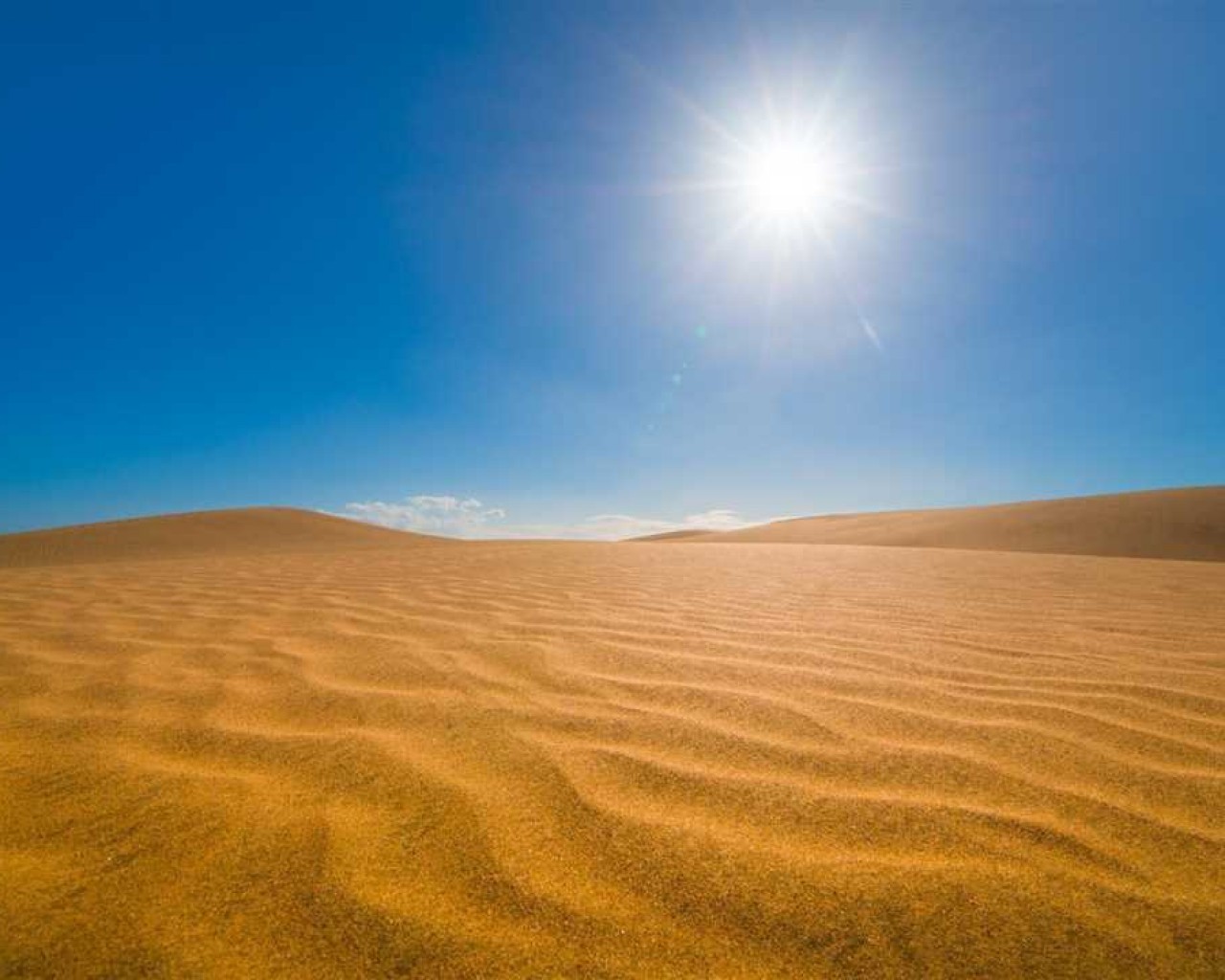 Тайны безжизненных просторов пустынь - от ключевых особенностей к пленительной красоте и непостижимому влиянию на живой мир