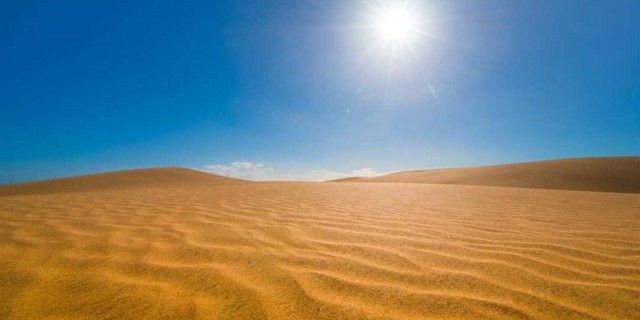 Тайны безжизненных просторов пустынь - от ключевых особенностей к пленительной красоте и непостижимому влиянию на живой мир