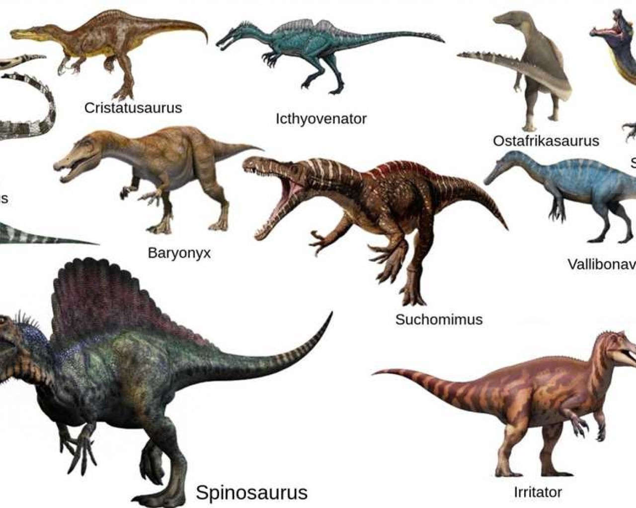 Все, что нужно знать о различных видах динозавров - факты, особенности и классификация