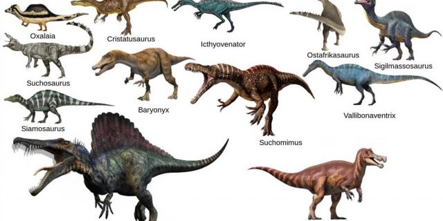 Все, что нужно знать о различных видах динозавров - факты, особенности и классификация