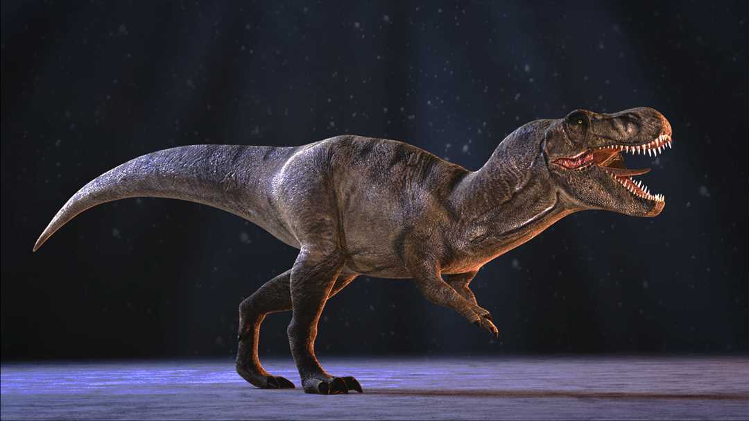 Тирекс жил в конце мелового периода, около 68-66 миллионов лет назад. Он был одним из последних динозавров, и его вымирание было связано с массовым вымиранием видов, известным как Крейдовое событие. Несмотря на свое исчезновение, Тирекс остается одним из самых популярных и известных динозавров в мире, вдохновляющим уважение и интерес у детей и взрослых.