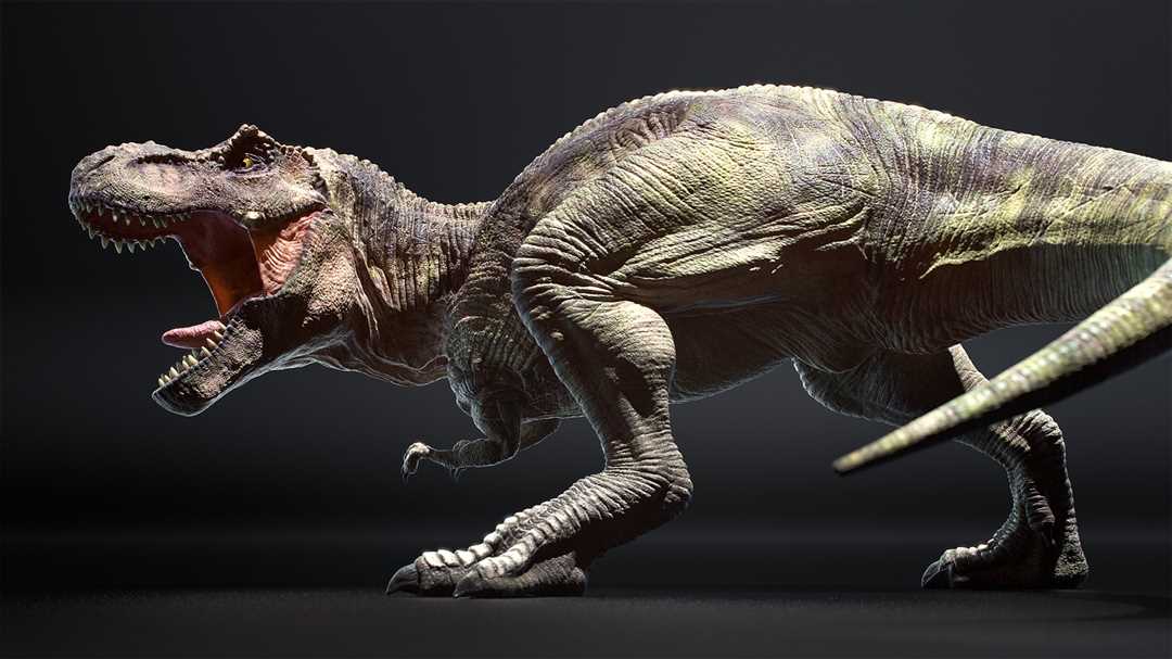 undefinedДинозавры</strong> - это удивительные создания, которые захватывают воображение своей непревзойденной мощью и размерами. А среди них особенное место занимает <em>Тирекс-рекс</em> - король динозавров, который правил на земле миллионы лет назад. Тирекс - это один из самых известных и изученных видов <strong>динозавров</strong>, который поражает своими размерами и вооружением.