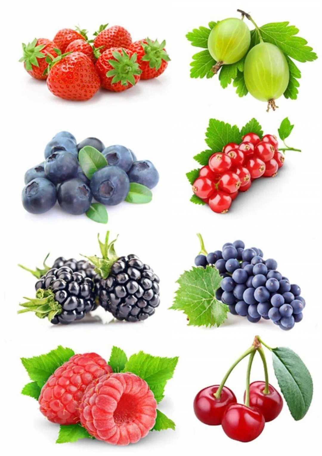 Разновидности ягодных плодов